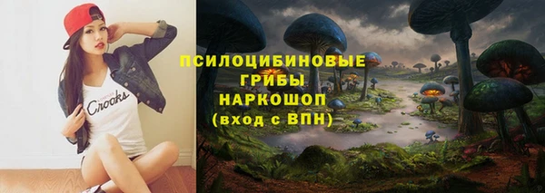 твердый Балахна