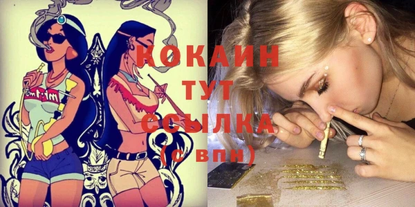 твердый Балахна